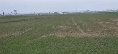 Teren extravilan 7.900 mp de vanzare zona Parapet Targoviște - Targoviste