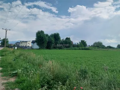 Teren Stupini Brasov - 2000 mp - Brasov