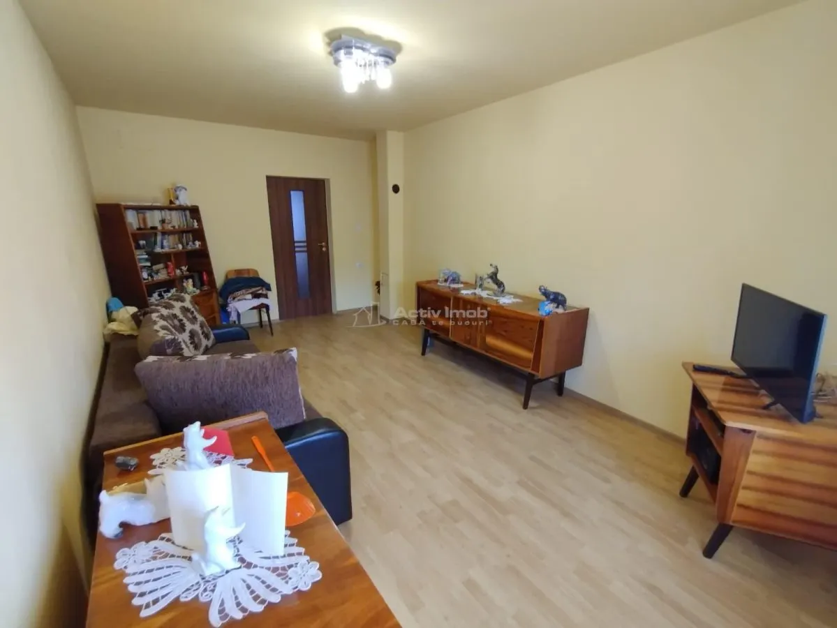 Nicolint, Casa la Cheie, 5 Camere, Mobilata Utilata, Pret FIX - foto 10