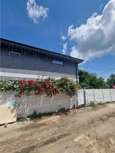 Case INDIVIDUALE constructii Noi Alexandria suprafata 130 mp - foto 5