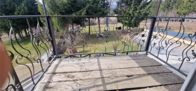 Brebu Nou, Caraș-Severin：1400平方米地皮两栋房屋，买方零佣金 - foto 7