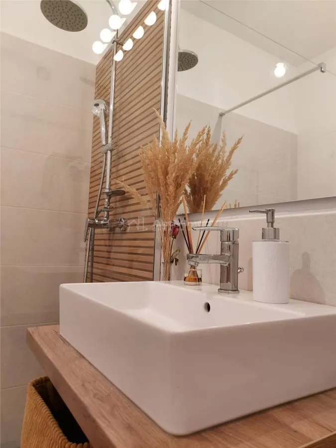 2 camere - tip studio - decomandat - Drumul Binelui - Berceni - foto 7