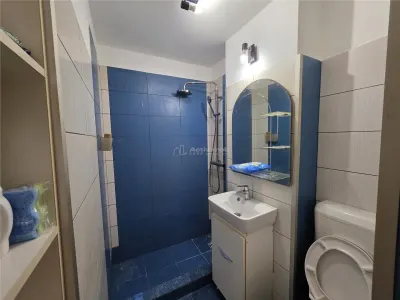 2 camere - Ion Berindei - Colentina - foto 8