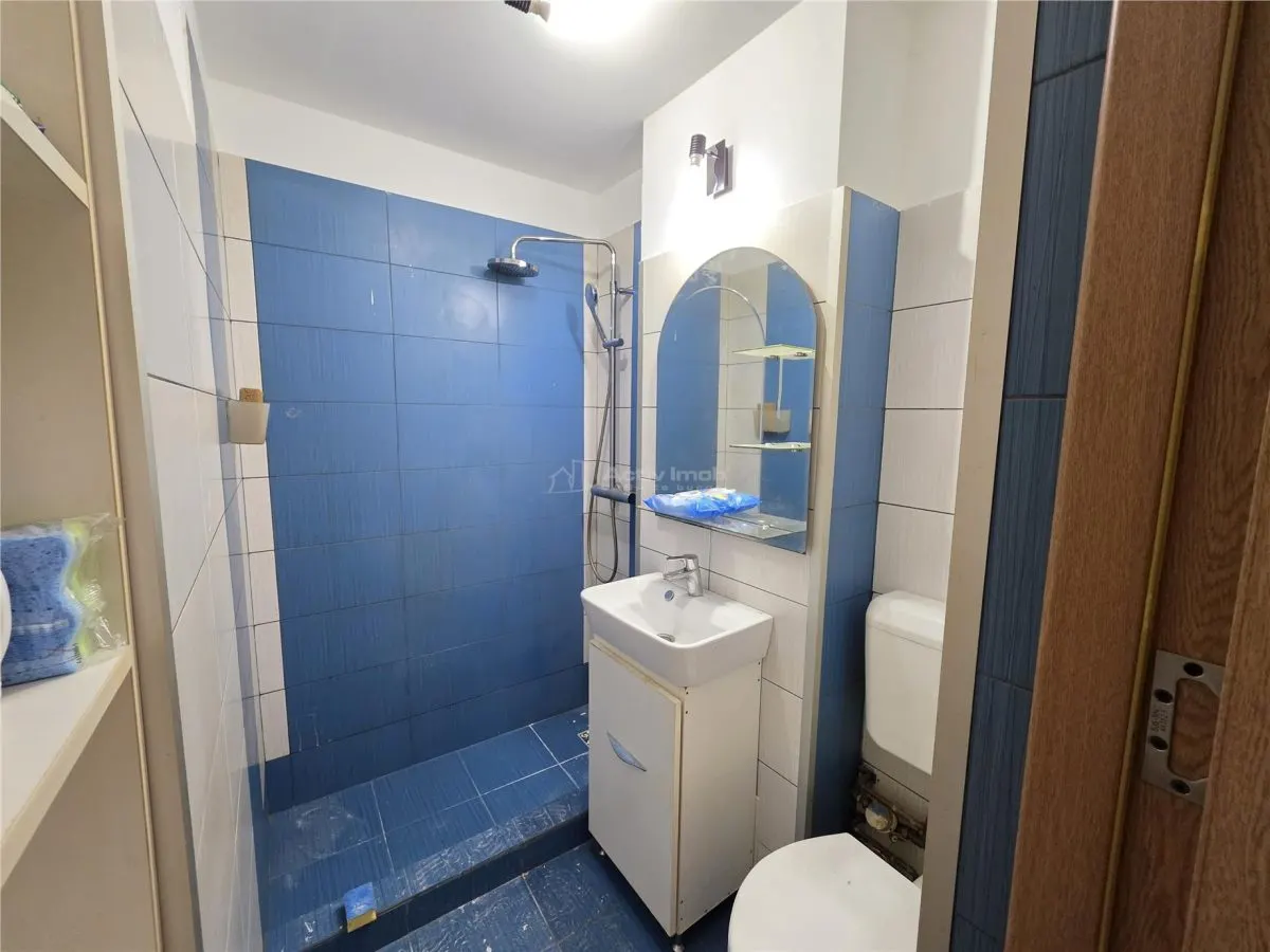2 camere - Ion Berindei - Colentina - foto 9