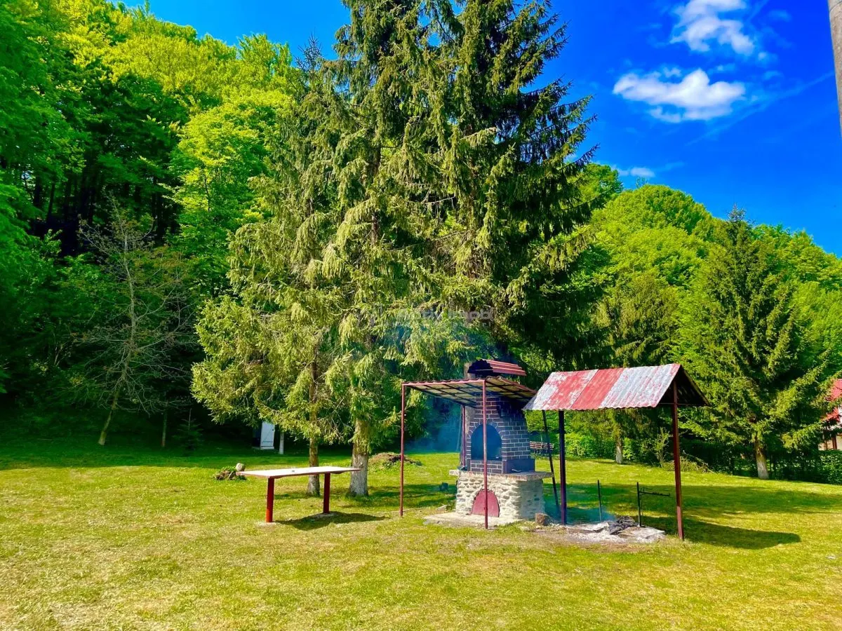 Casa de vacanta de vanzare Valea Avrigului - foto 1