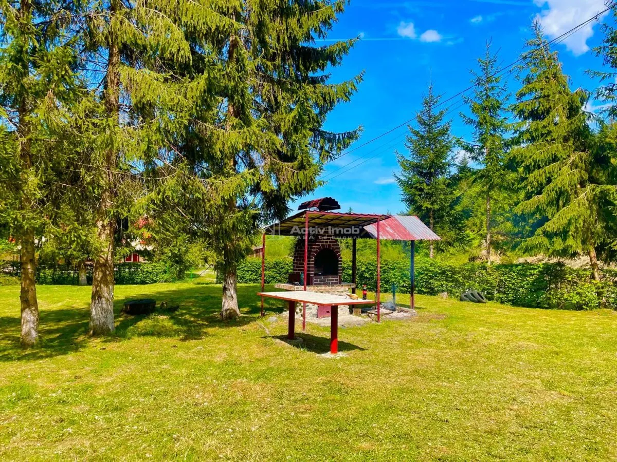 Casa de vacanta de vanzare Valea Avrigului - foto 14