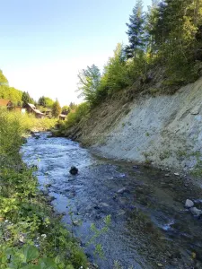 Casa de vacanta de vanzare Valea Avrigului - foto 15