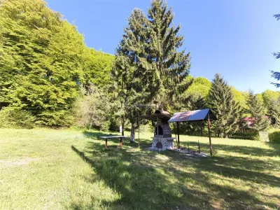 Casa de vacanta de vanzare Valea Avrigului - foto 3