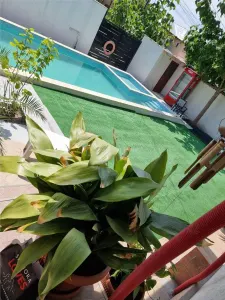 Villa 3 Chambres avec Pension 9 Chambres – Eforie Nord - foto 5