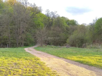 Parcele de vanzare INTRE IAZURI Talmaciu - foto 4