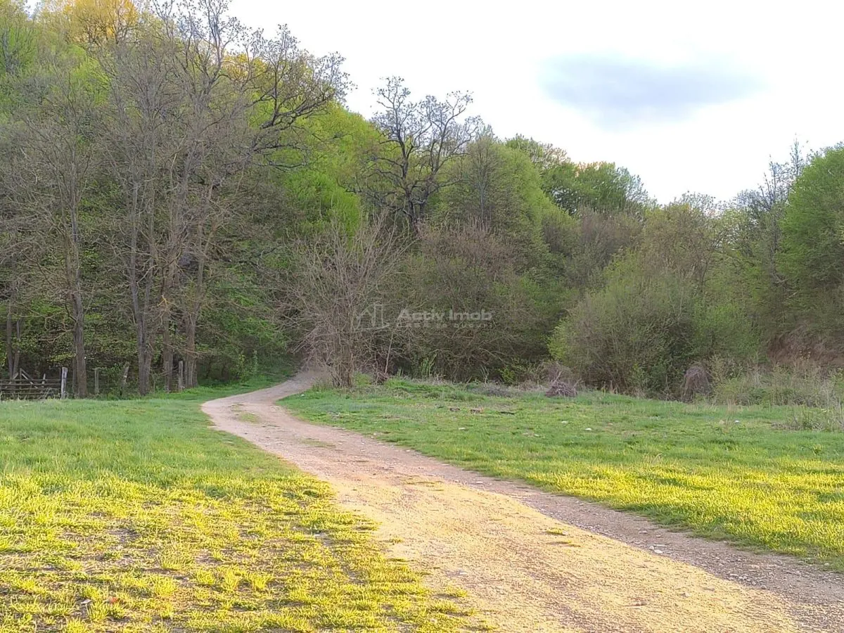 Parcele de vanzare INTRE IAZURI Talmaciu - foto 4