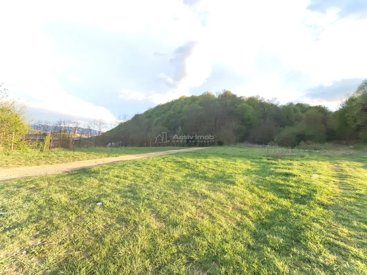 Parcele de vanzare INTRE IAZURI Talmaciu - foto 8