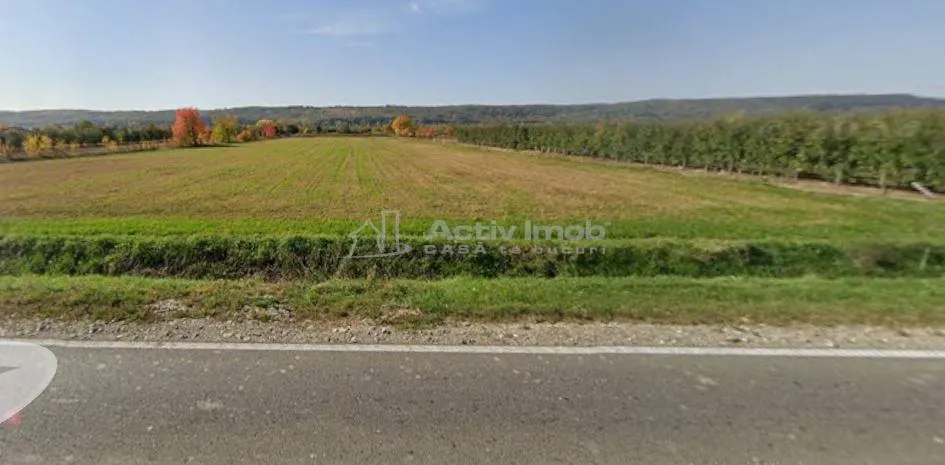 Teren intravilan 13060 mp | Deschidere 64 m la DN72A Voinesti - foto 3