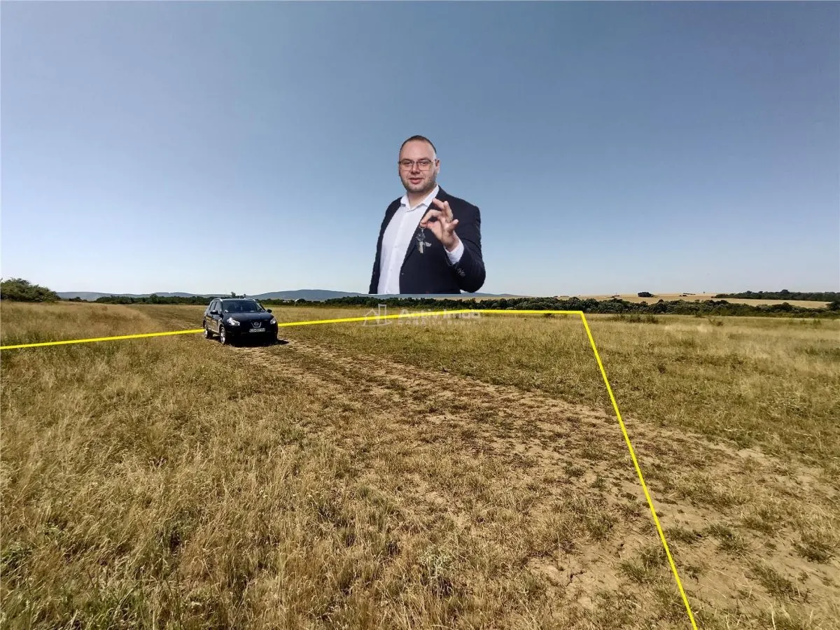 Nicolint, 2 Terenuri Extravilane, Arabil, 1.45 Hectare - foto 1