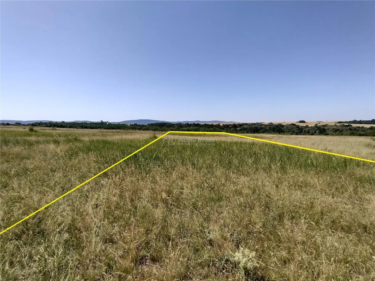 Nicolint, 2 Terenuri Extravilane, Arabil, 1.45 Hectare - foto 11