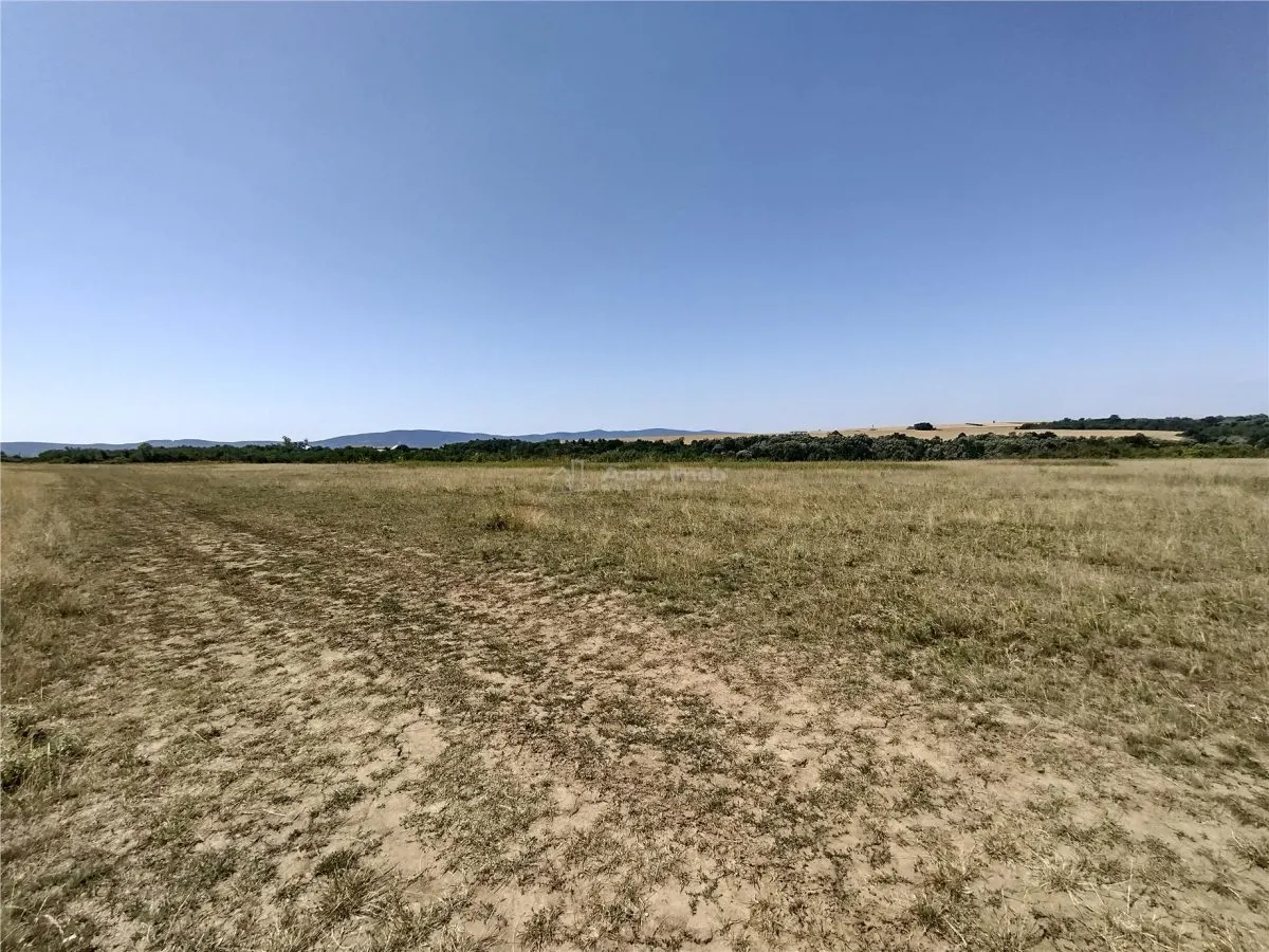 Nicolint, 2 Terenuri Extravilane, Arabil, 1.45 Hectare - foto 14