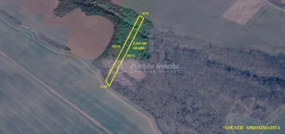 Nicolint, 2 Terenuri Extravilane, Arabil, 1.45 Hectare - foto 3