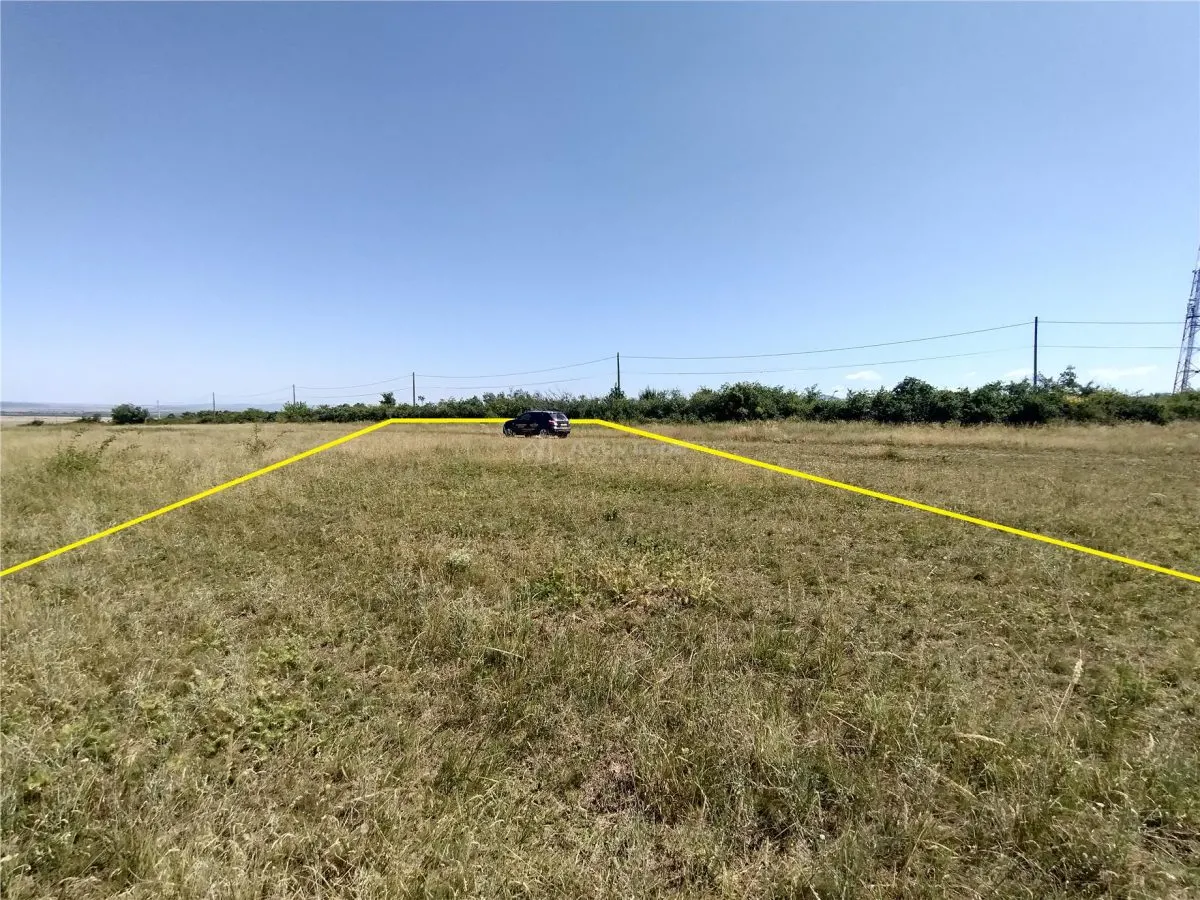 Nicolint, 2 Terenuri Extravilane, Arabil, 1.45 Hectare - foto 8