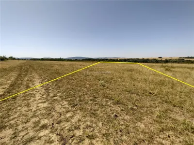 Nicolint, 2 Terenuri Extravilane, Arabil, 1.45 Hectare - foto 10