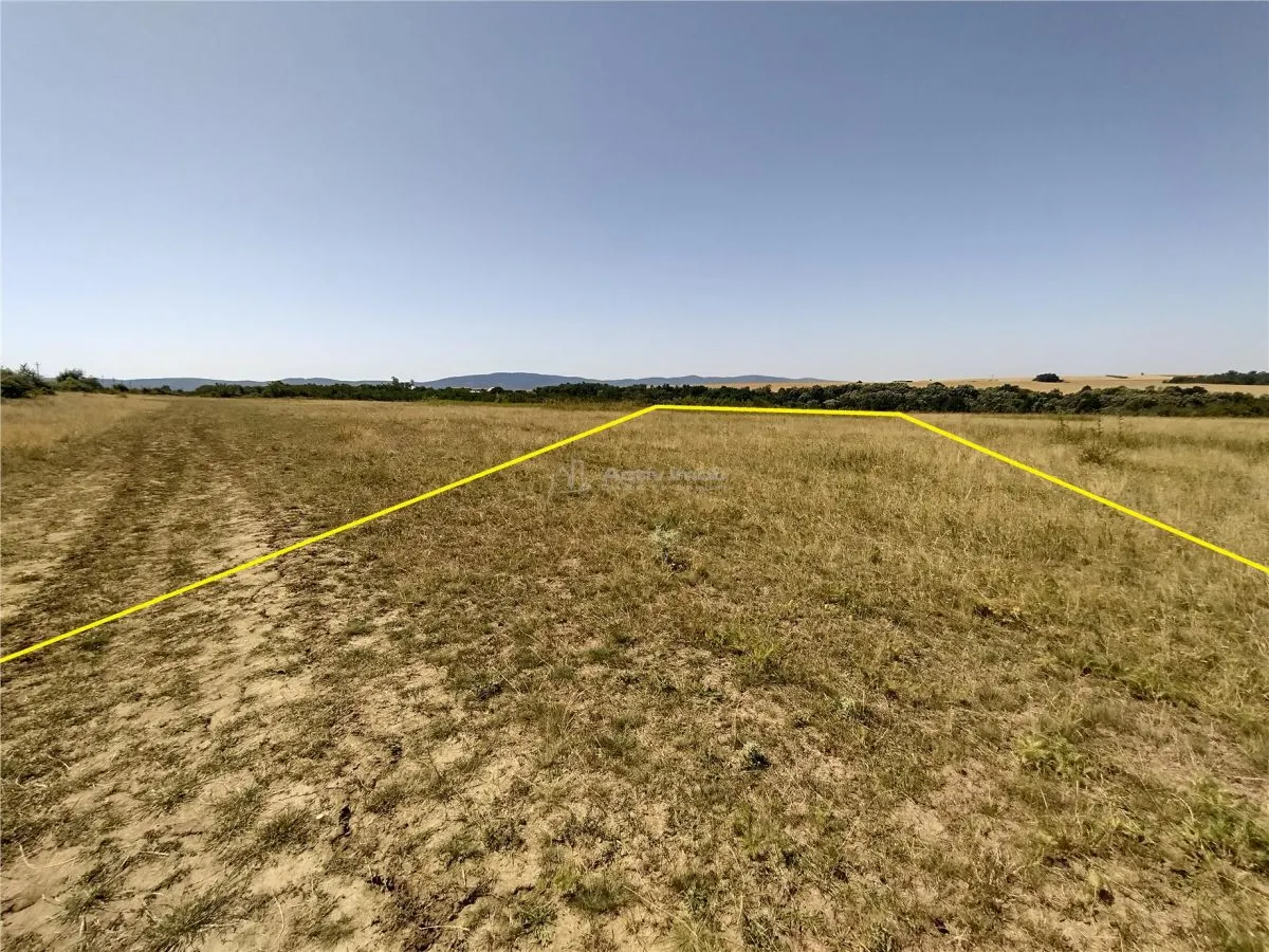 Nicolint, 2 Terenuri Extravilane, Arabil, 1.45 Hectare - foto 10