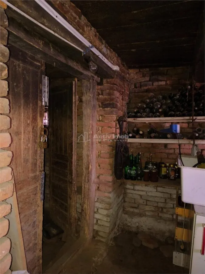 Casa generoasa de vanzare la tara - foto 13