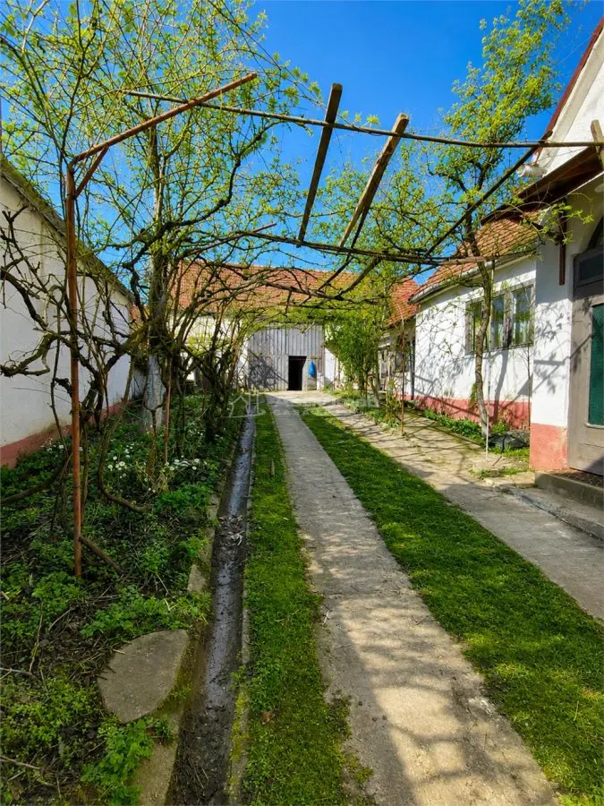 Casa generoasa de vanzare la tara - foto 4