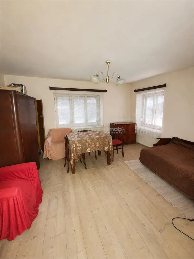 Casa generoasa de vanzare la tara - foto 9
