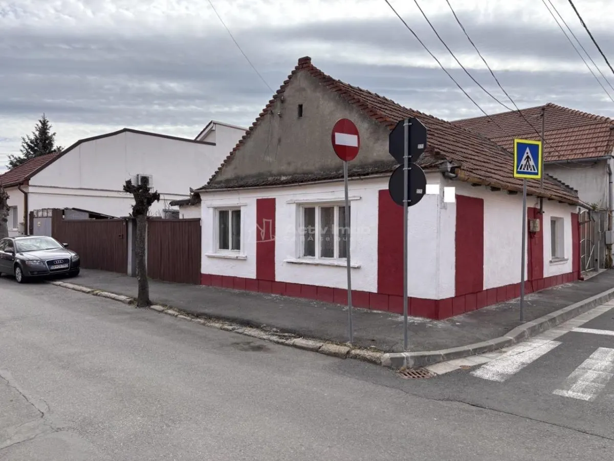 Casa cu dublu front in Cantemir – oportunitate excelenta pentru renovare si investitie - foto 1