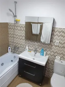 Casa 4 camere de inchiriat micro 3 Penny mobilata utilata - foto 13