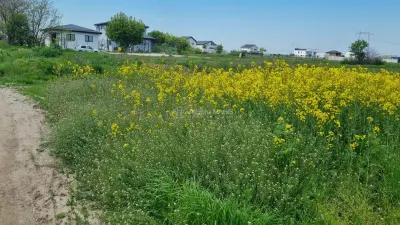贝尔切尼镇地块 4,763 平方米 美家超市区域 - foto 4