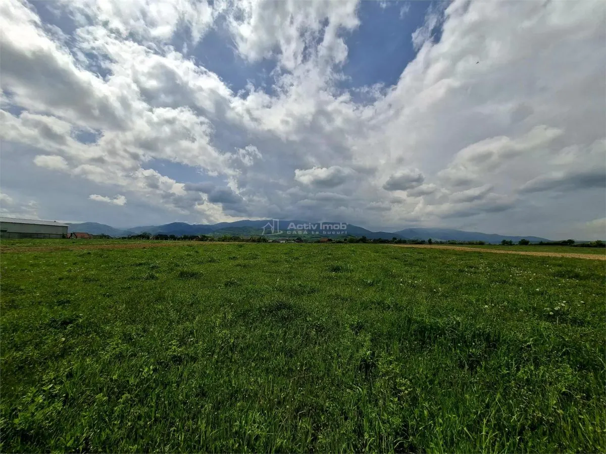 Teren extravilan de vanzare Talmaciu - foto 2