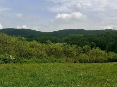 Teren extravilan de vanzare Talmaciu - foto 3