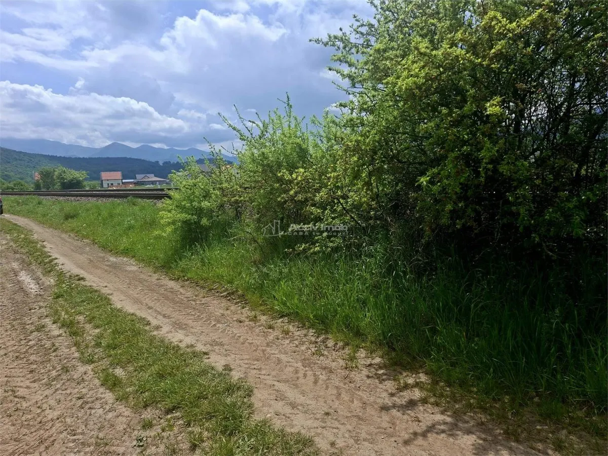 Teren extravilan de vanzare Talmaciu - foto 4