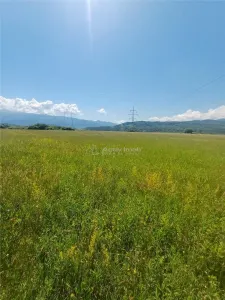 Teren de vanzare pe Drumul Sadului - Talmaciu