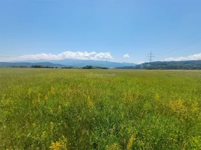 Teren de vanzare pe Drumul Sadului - foto 2