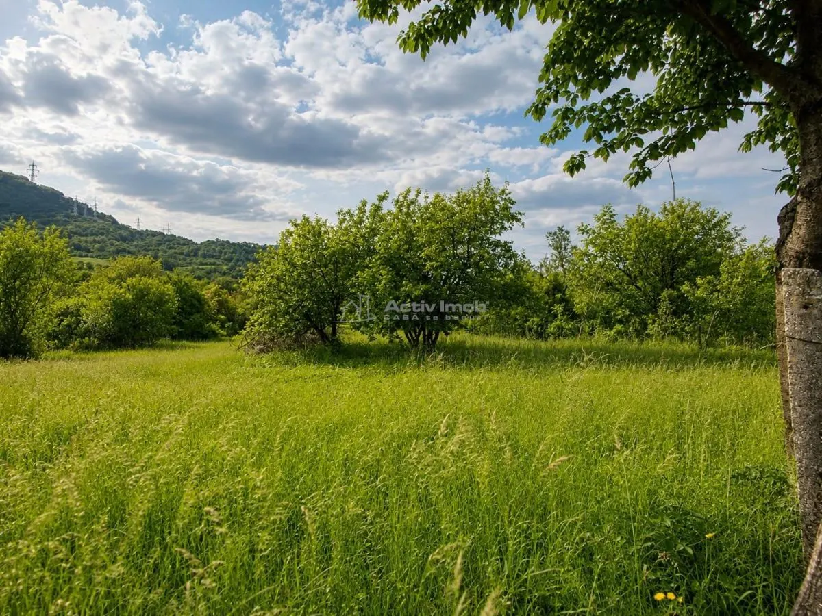 Teren de vanzare in Talmacel - foto 2