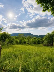 Teren de vanzare in Talmacel - foto 3