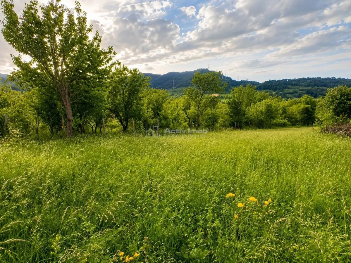 Teren de vanzare in Talmacel - foto 5