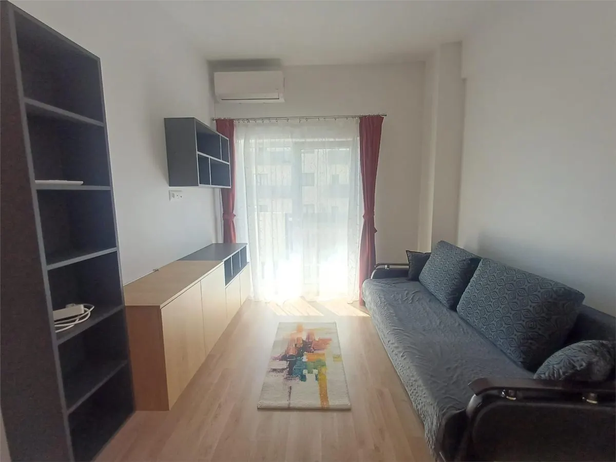 Studio de inchiriat Doamna Stanca - foto 1