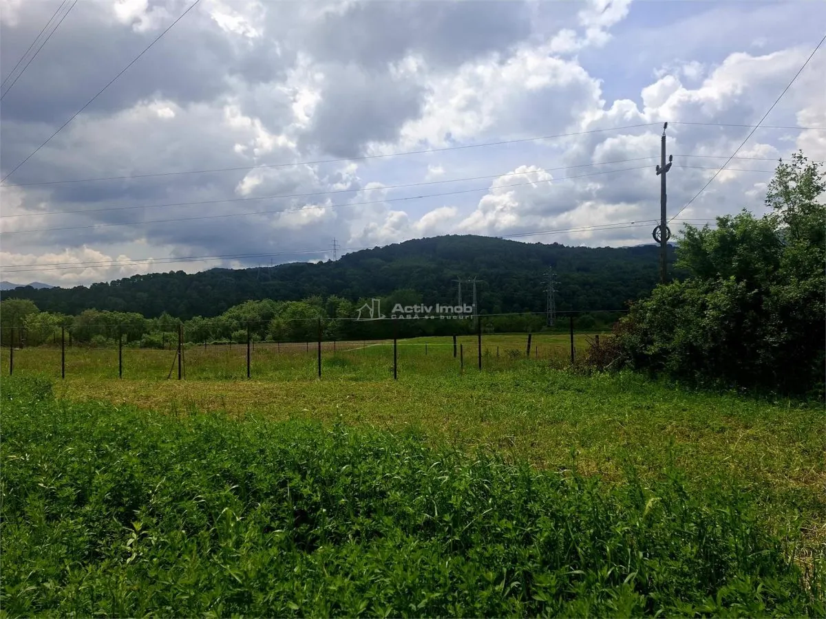 Teren extravilan de vanzare Talmaciu - foto 1