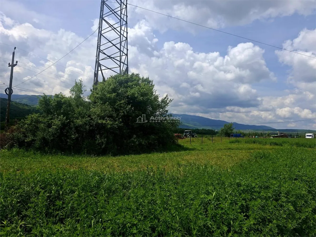 Teren extravilan de vanzare Talmaciu - foto 2