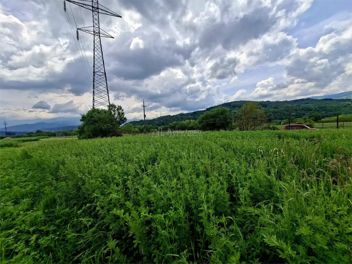 Teren extravilan de vanzare Talmaciu - foto 4