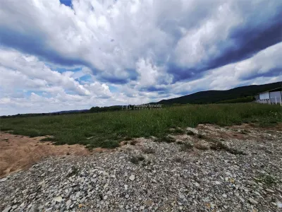 Teren extravilan de vanzare Talmaciu - foto 3
