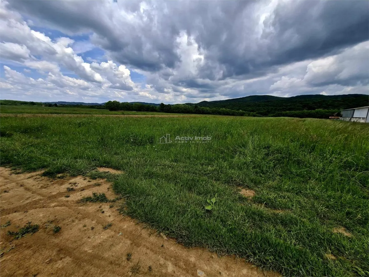 Teren extravilan de vanzare Talmaciu - foto 4