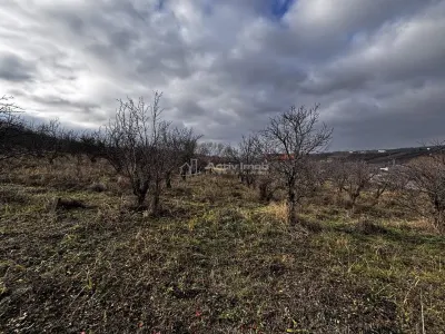 Teren Intravilan Str Livezilor - foto 12