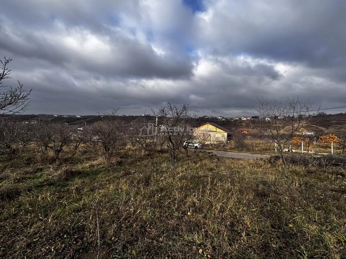 Teren Intravilan Str Livezilor - foto 3