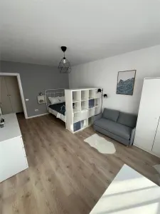 Studio with Separated Layout – 33 sqm – Tineretului - foto 3