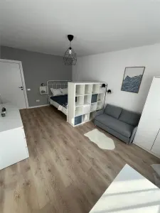 Studio with Separated Layout – 33 sqm – Tineretului - foto 5