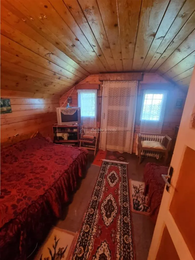Casa de vacanta Alexandria -La Izvorul Rece - foto 11