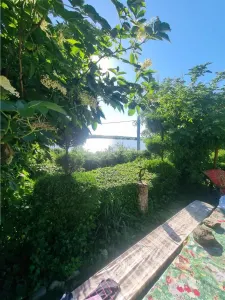 Casa de vacanta Alexandria -La Izvorul Rece - foto 7